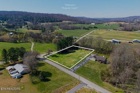 Photo of 668 Webbs Camp Rd, Walling, TN 38587 (MLS # 1338755)