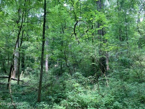 Tiny photo for 4921 Wise Hills Rd #2, Knoxville, TN 37920 (MLS # 1349735)