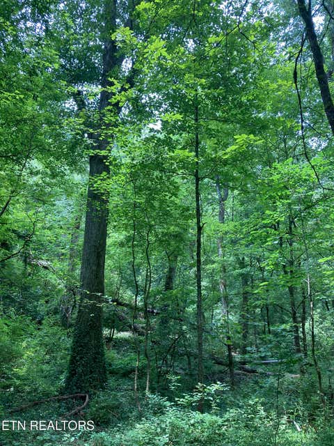 Tiny photo for 4921 Wise Hills Rd #2, Knoxville, TN 37920 (MLS # 1349735)