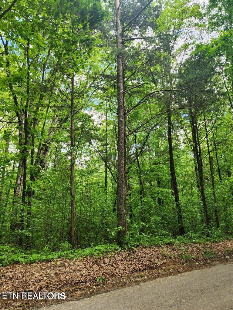 CO RO 121 Lot 2 and 3, 17.6 AC