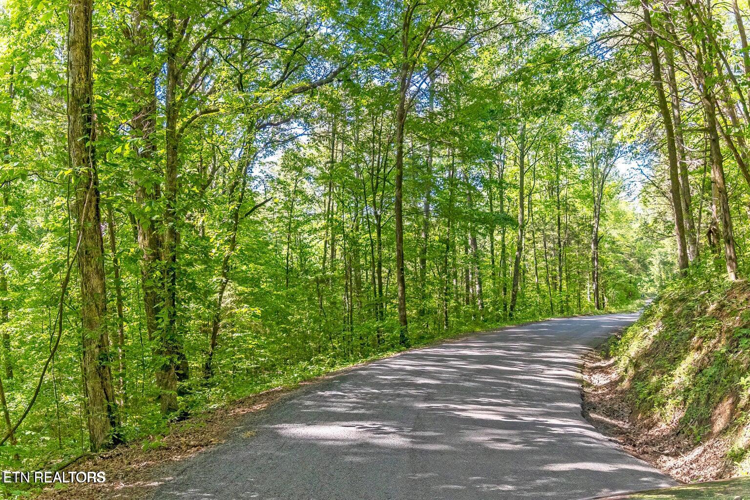 CO RO 121 Lot 2 and 3, 17.6 AC