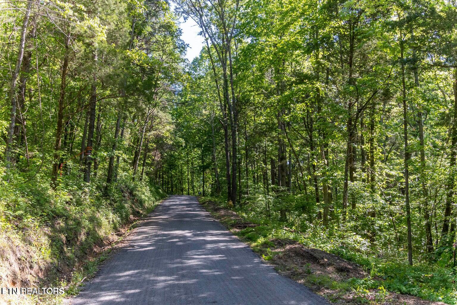 CO RO 121 Lot 2 and 3, 17.6 AC
