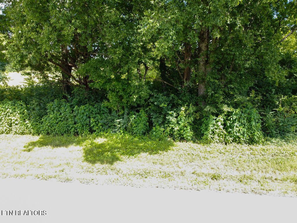 Photo of 156 County Road 436, Athens, TN 37303 (MLS # 1339712)