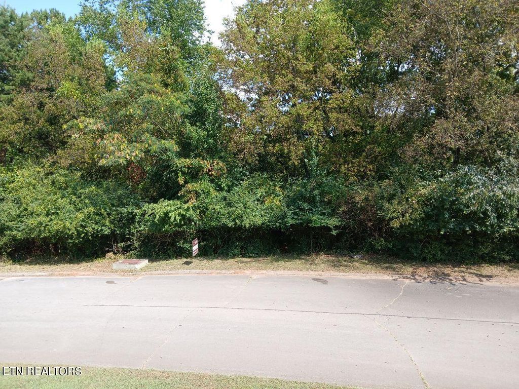 Photo of 161 Trail View Drive, Loudon, TN 37774 (MLS # 1274879)