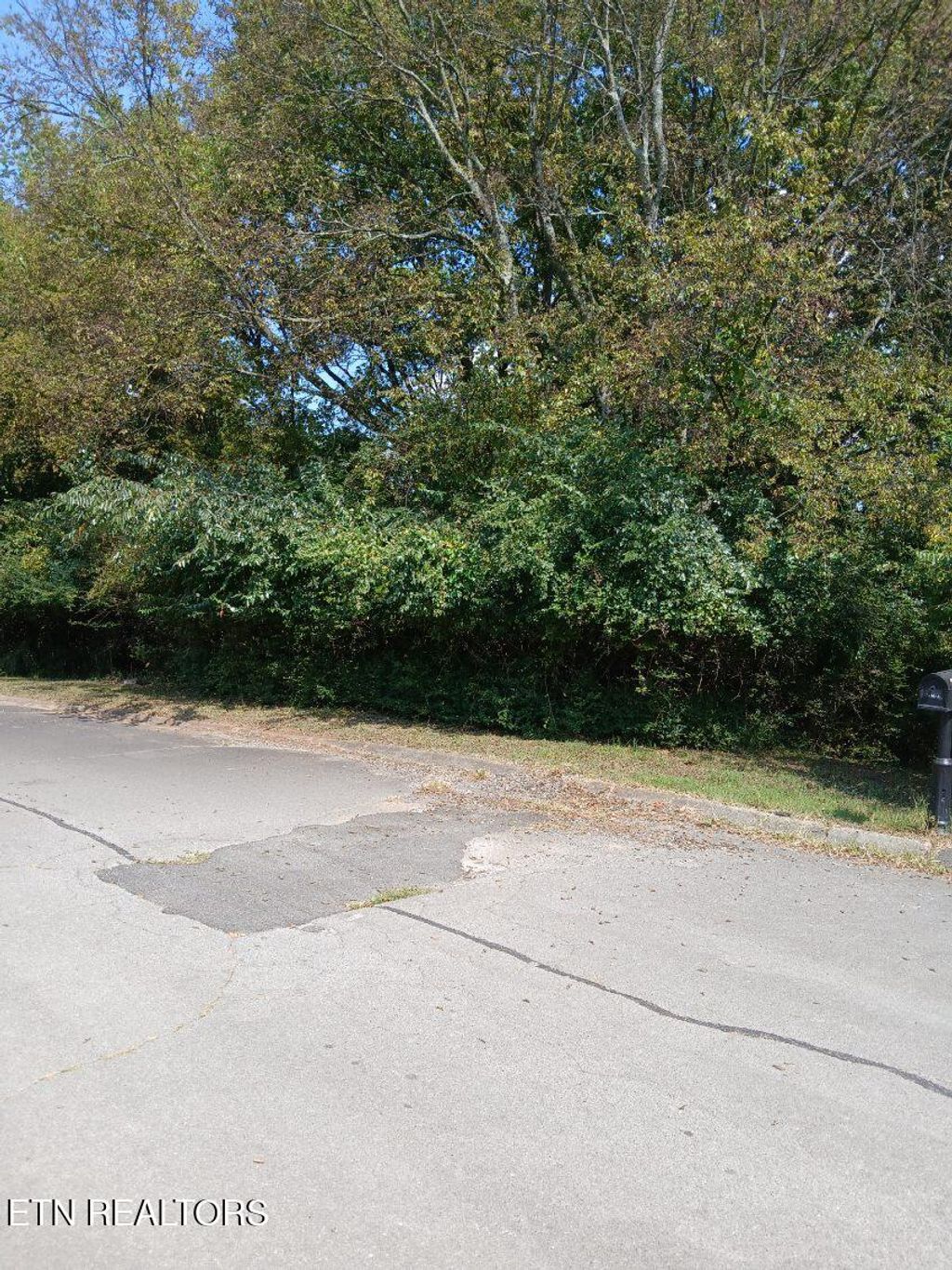 Photo of 161 Trail View Drive, Loudon, TN 37774 (MLS # 1274879)