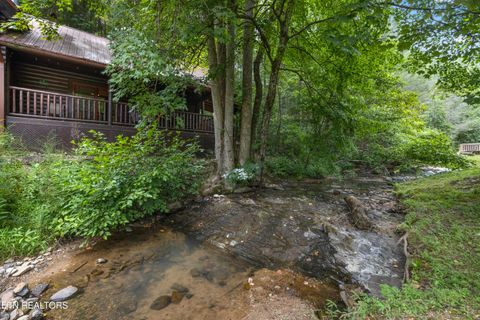Tiny photo for 2609 Cedar Falls Way, Sevierville, TN 37862 (MLS # 1298220)