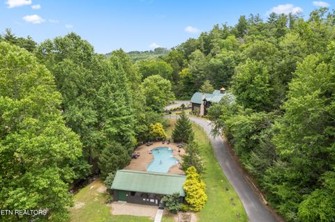 Tiny photo for 2609 Cedar Falls Way, Sevierville, TN 37862 (MLS # 1298220)