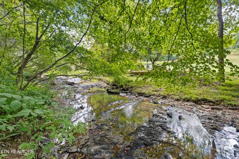 Tiny photo for 2609 Cedar Falls Way, Sevierville, TN 37862 (MLS # 1298220)