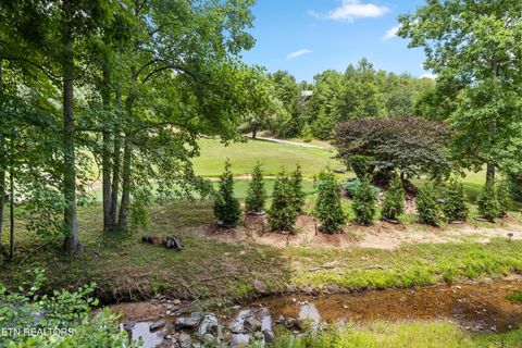 Tiny photo for 2609 Cedar Falls Way, Sevierville, TN 37862 (MLS # 1298220)