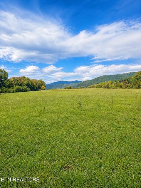 Photo of 516 Petit Lane, Wartburg, TN 37887 (MLS # 1346571)