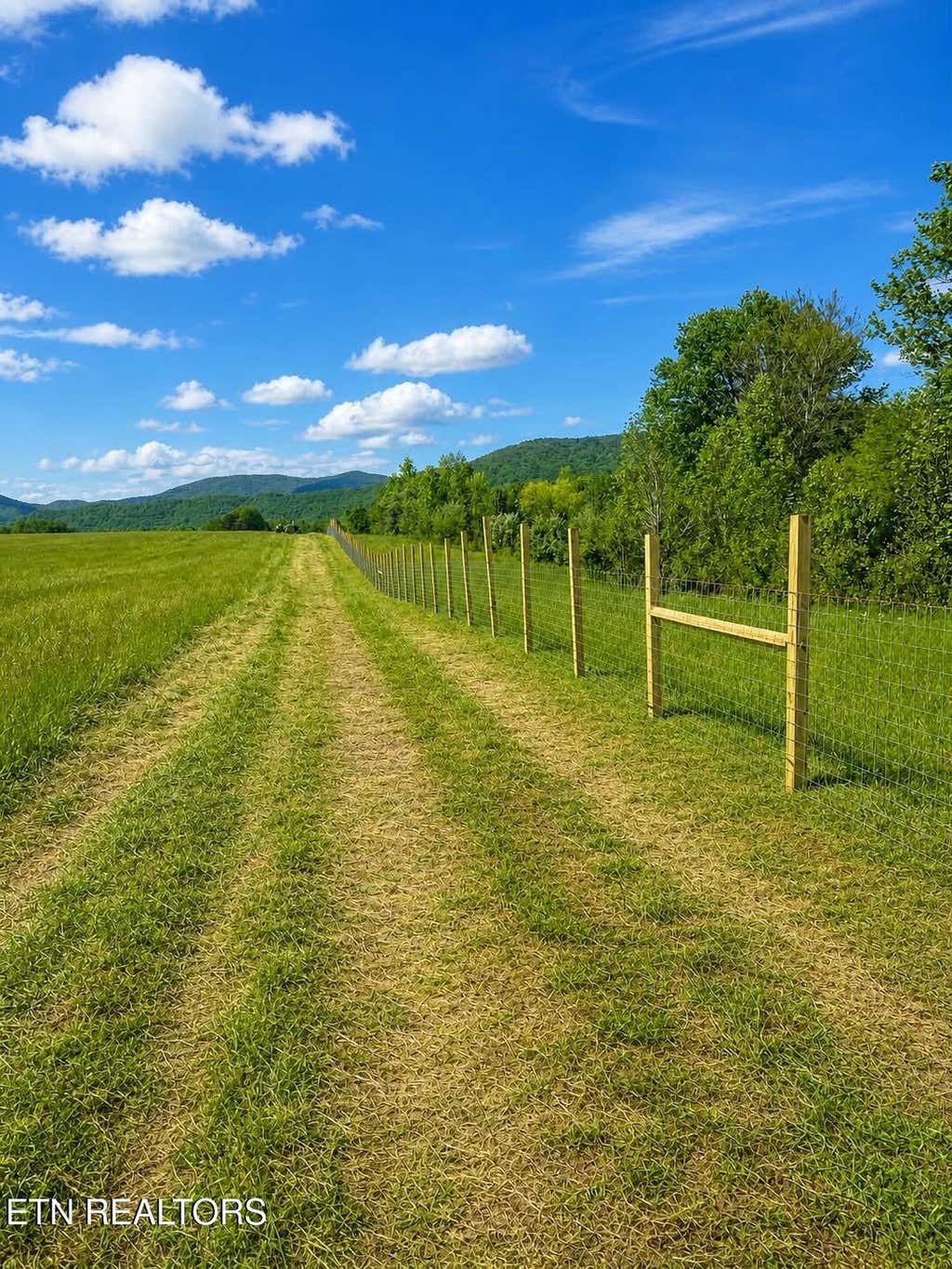 Photo of 516 Petit Lane, Wartburg, TN 37887 (MLS # 1346571)