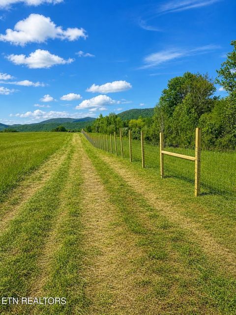Tiny photo for 516 Petit Lane, Wartburg, TN 37887 (MLS # 1346571)