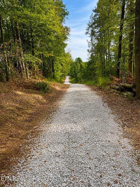 Tiny photo for 516 Petit Lane, Wartburg, TN 37887 (MLS # 1346571)