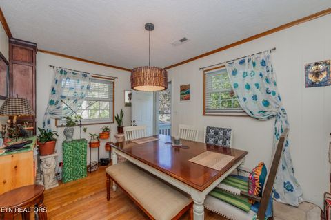 Tiny photo for 1001 Marmor Drive, Knoxville, TN 37920 (MLS # 1321012)