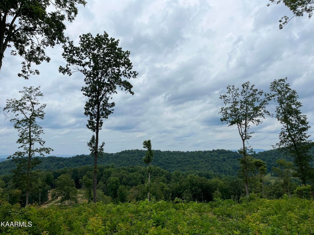 Photo of Little Sycamore Rd, Tazewell, TN 37879 (MLS # 1235548)