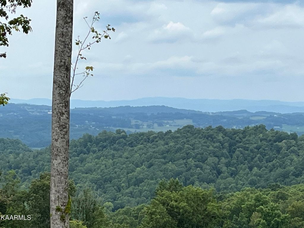 Photo of Little Sycamore Rd, Tazewell, TN 37879 (MLS # 1235548)