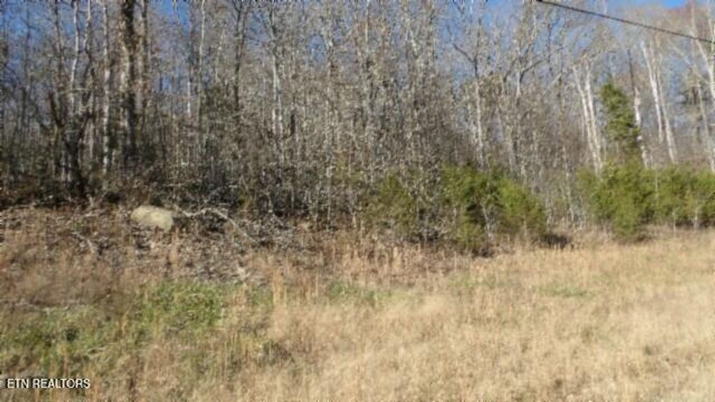 Photo of 46 Cheyenne Drive, Jamestown, TN 38556 (MLS # 1324520)