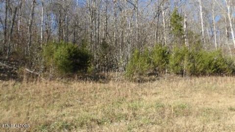 Photo of 46 Cheyenne Drive, Jamestown, TN 38556 (MLS # 1324520)