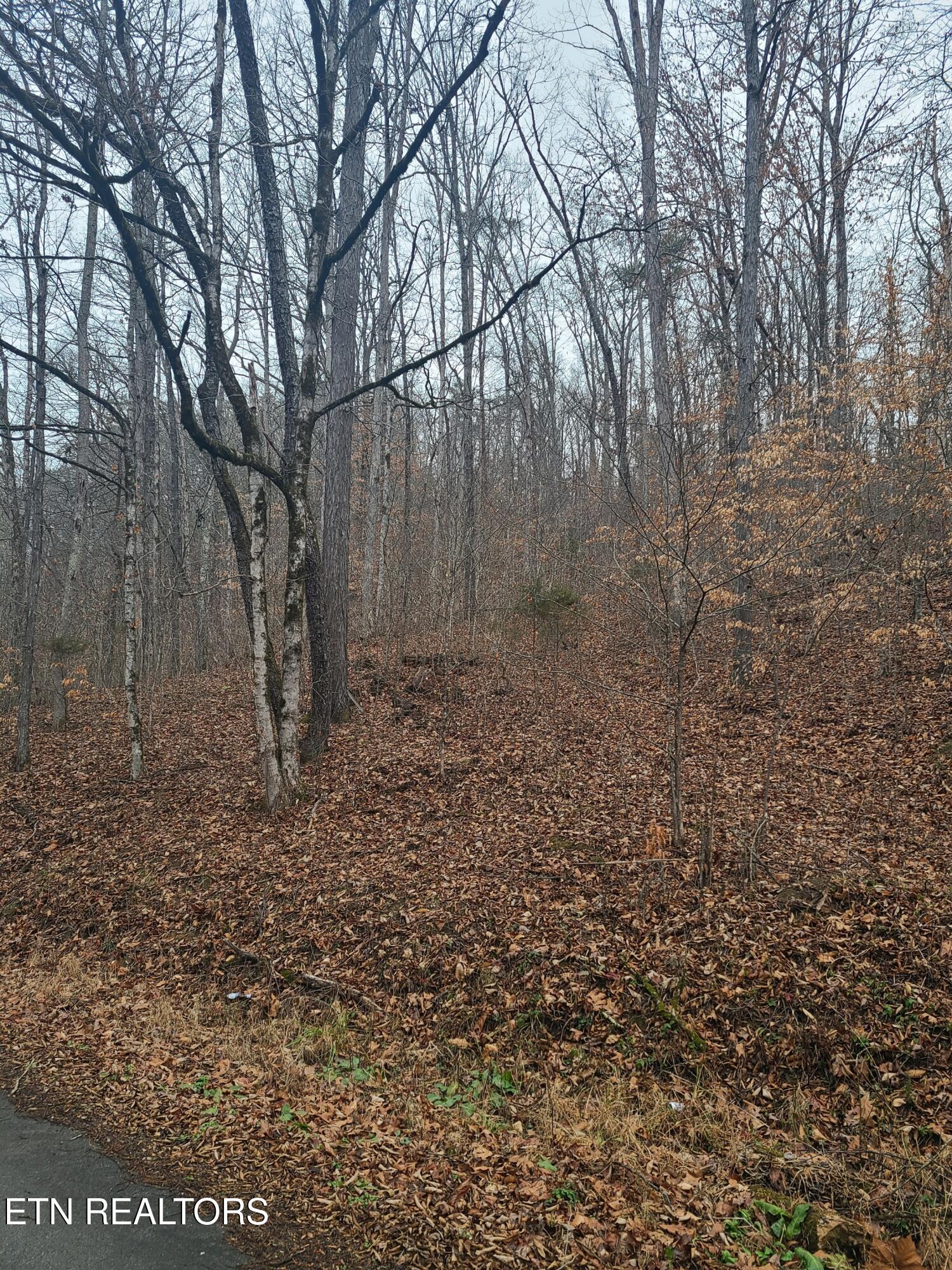 Keystown Rd