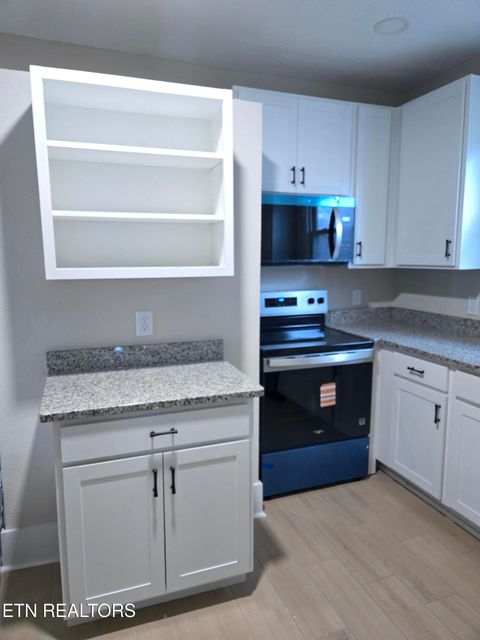 Tiny photo for 1920 Wheeler St, Knoxville, TN 37917 (MLS # 1323134)