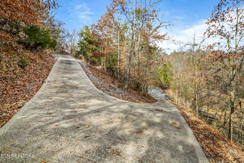 Tiny photo for 429 Filet Lane, Dandridge, TN 37725 (MLS # 1326999)