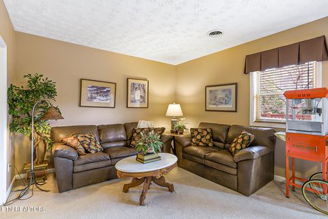 Tiny photo for 429 Filet Lane, Dandridge, TN 37725 (MLS # 1326999)