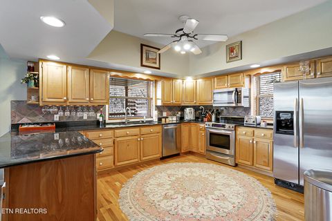 Tiny photo for 429 Filet Lane, Dandridge, TN 37725 (MLS # 1326999)