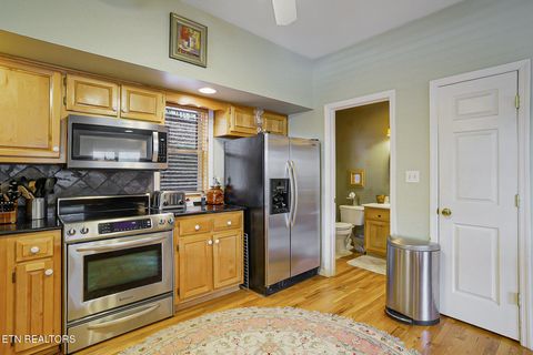 Tiny photo for 429 Filet Lane, Dandridge, TN 37725 (MLS # 1326999)