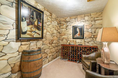 Tiny photo for 429 Filet Lane, Dandridge, TN 37725 (MLS # 1326999)