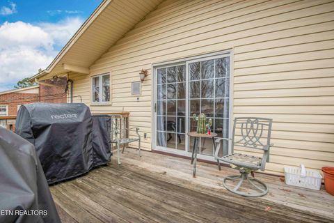 Tiny photo for 7820 Widdecomb Rd, Powell, TN 37849 (MLS # 1323829)