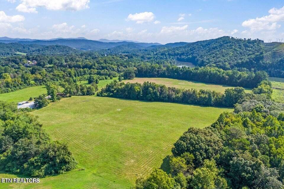 790 Swan Pond Circle Rd