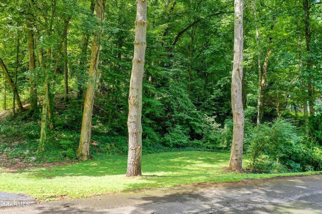 Photo of 2632 SW Lynbrulee Lane, Knoxville, TN 37920 (MLS # 1202146)