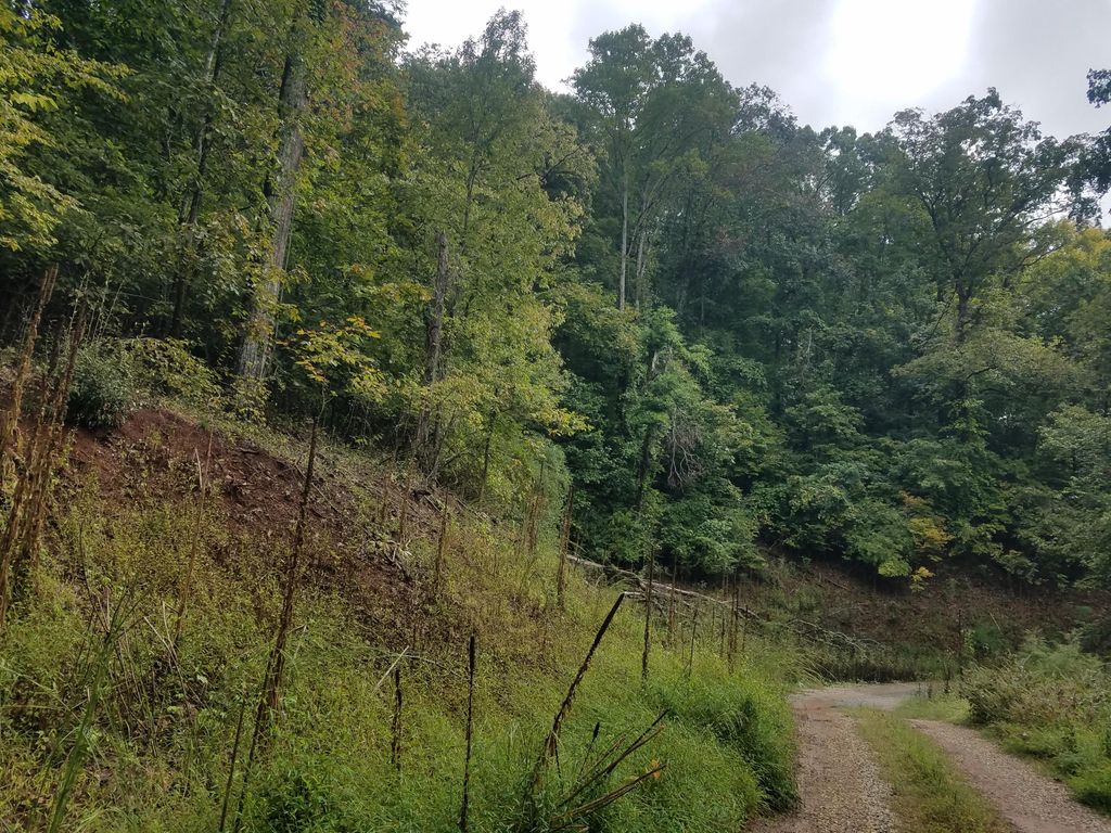 Photo of Delta Queen Rd, Louisville, TN 37777 (MLS # 1149036)