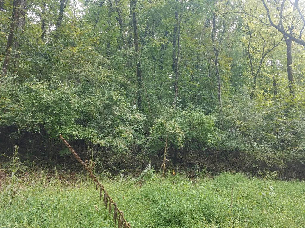 Photo of Delta Queen Rd, Louisville, TN 37777 (MLS # 1149036)