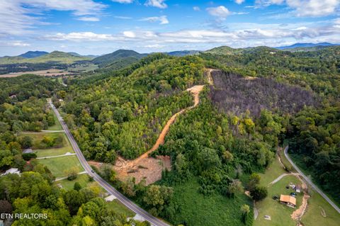 Tiny photo for 6915 TN-360, Tellico Plains, TN 37385 (MLS # 1317941)