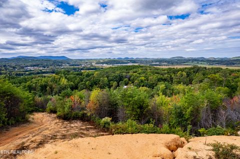 Tiny photo for 6915 TN-360, Tellico Plains, TN 37385 (MLS # 1317941)