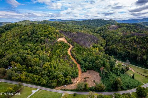 Tiny photo for 6915 TN-360, Tellico Plains, TN 37385 (MLS # 1317941)
