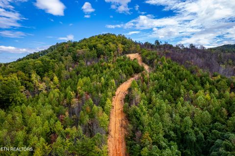Tiny photo for 6915 TN-360, Tellico Plains, TN 37385 (MLS # 1317941)
