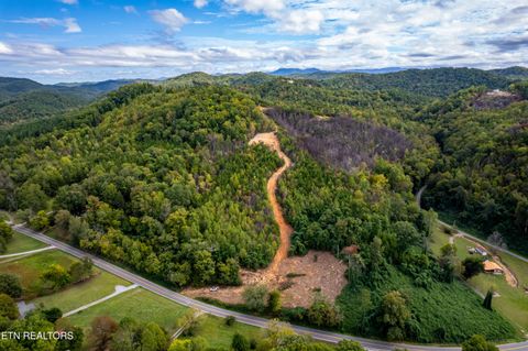 Tiny photo for 6915 TN-360, Tellico Plains, TN 37385 (MLS # 1317941)