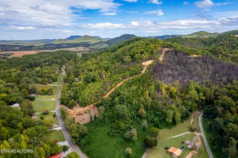 Tiny photo for 6915 TN-360, Tellico Plains, TN 37385 (MLS # 1317941)