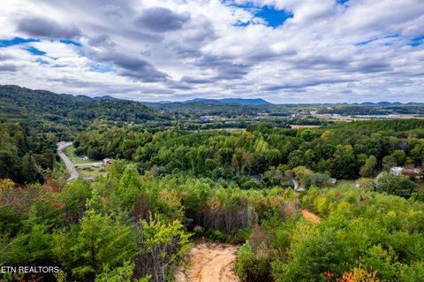 Tiny photo for 6915 TN-360, Tellico Plains, TN 37385 (MLS # 1317941)