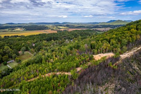Tiny photo for 6915 TN-360, Tellico Plains, TN 37385 (MLS # 1317941)