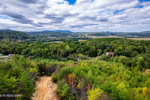 Tiny photo for 6915 TN-360, Tellico Plains, TN 37385 (MLS # 1317941)