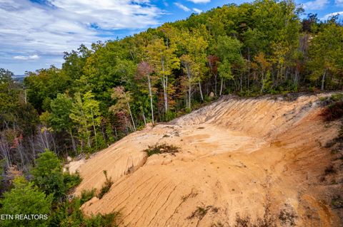 Tiny photo for 6915 TN-360, Tellico Plains, TN 37385 (MLS # 1317941)