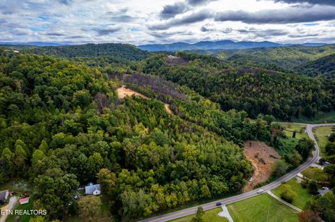 Tiny photo for 6915 TN-360, Tellico Plains, TN 37385 (MLS # 1317941)