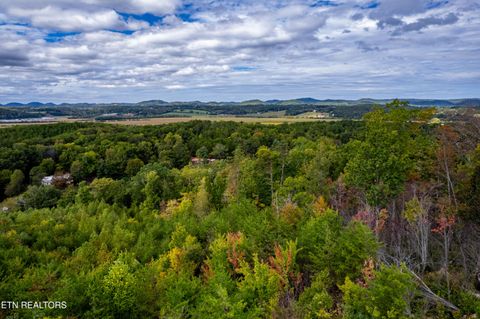 Tiny photo for 6915 TN-360, Tellico Plains, TN 37385 (MLS # 1317941)