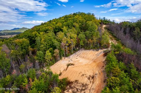 Tiny photo for 6915 TN-360, Tellico Plains, TN 37385 (MLS # 1317941)