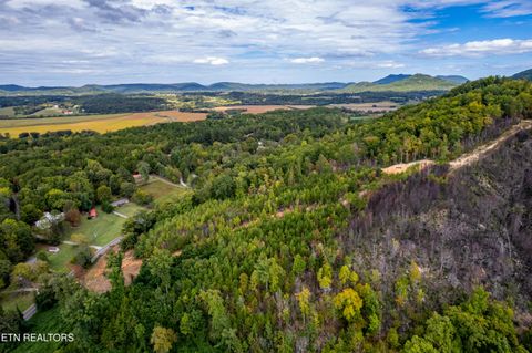 Tiny photo for 6915 TN-360, Tellico Plains, TN 37385 (MLS # 1317941)