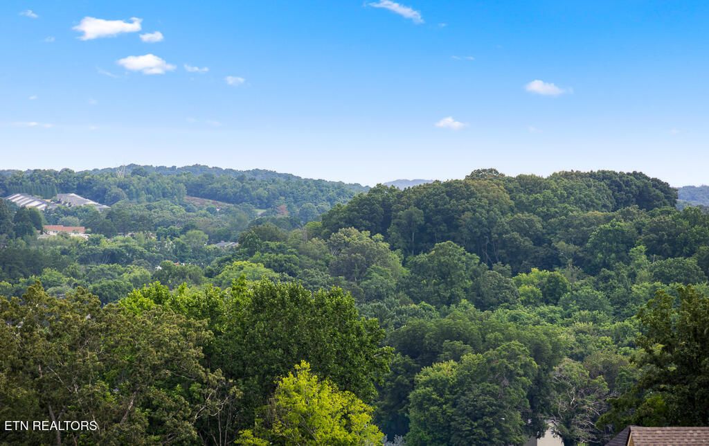 Photo of 402 Sugar Maple Trail Tr, Lenoir City, TN 37771 (MLS # 1348775)