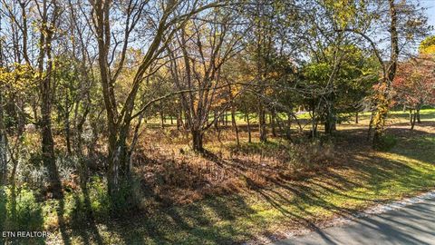 Tiny photo for 176 Dudi Tr, Vonore, TN 37885 (MLS # 1321233)